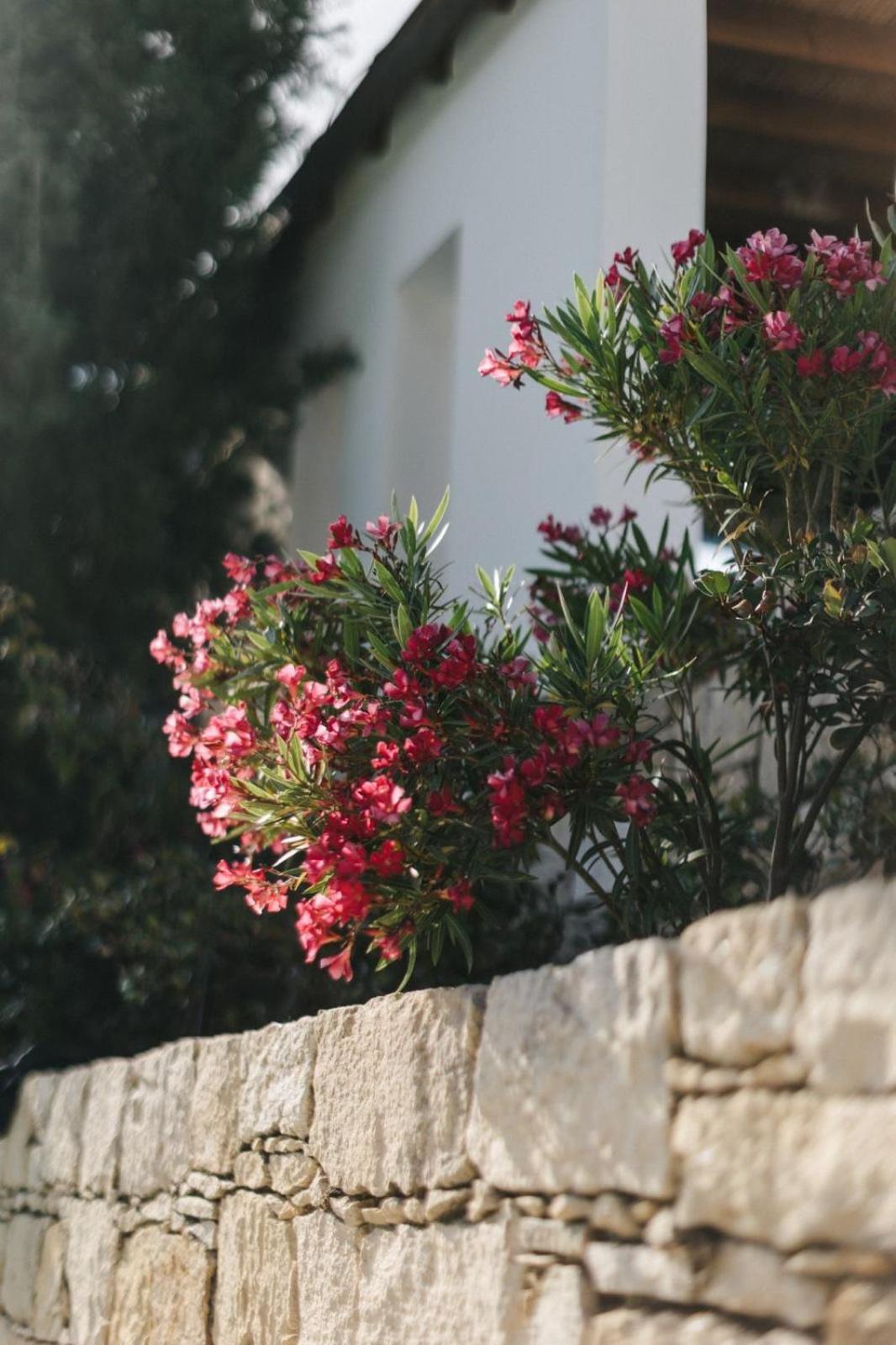 Cecilias Courtyard Country house *